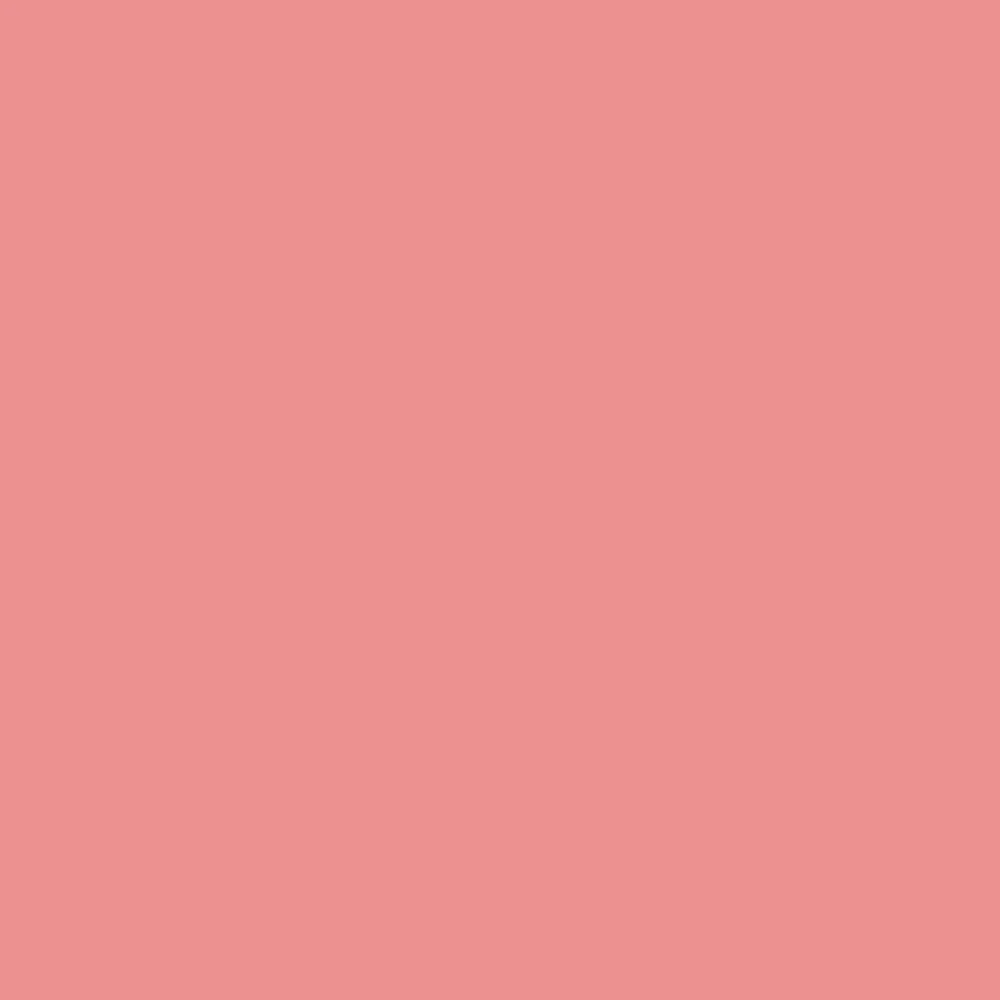 Image of Dishy Coral (6598)