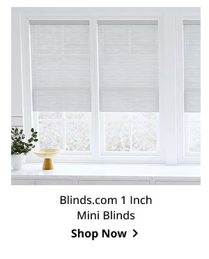 Blinds.com 1 Inch Mini Blinds | Shop Now >