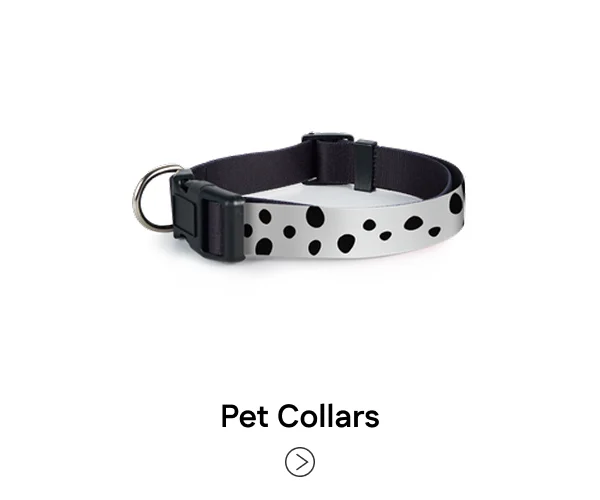 Pet Collars