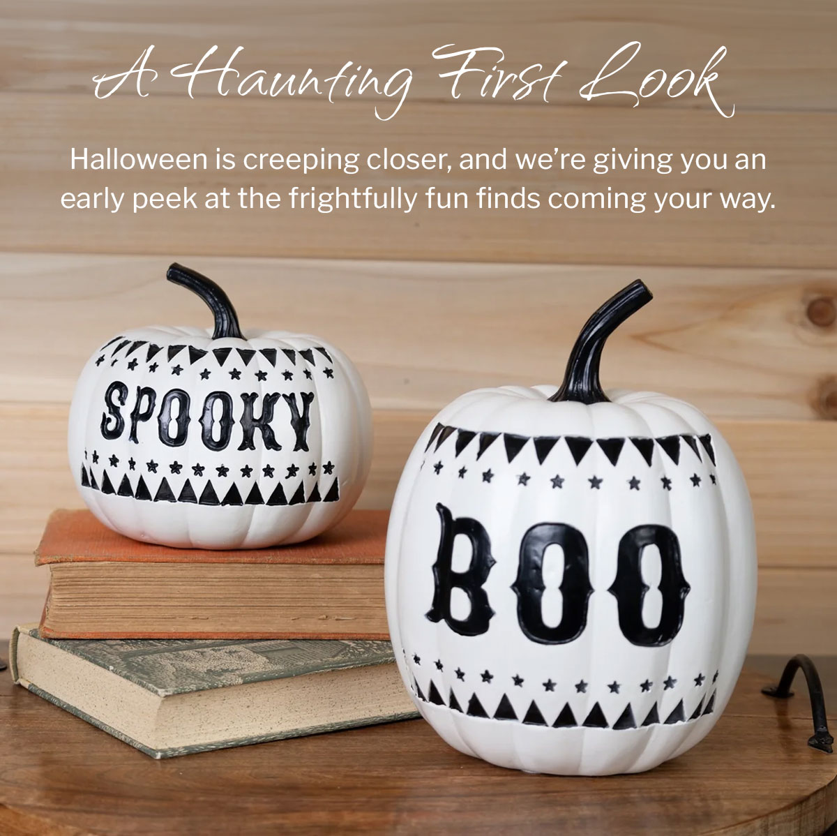 A Haunting First Look: Halloween is creeping closer, and we are giving you an early peek at the frightening fun finds coming your way.
