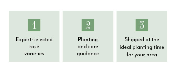 Why gardeners trust Jackson & Perkins