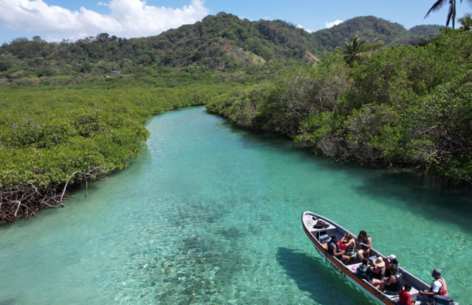 Trip Isla Mamey