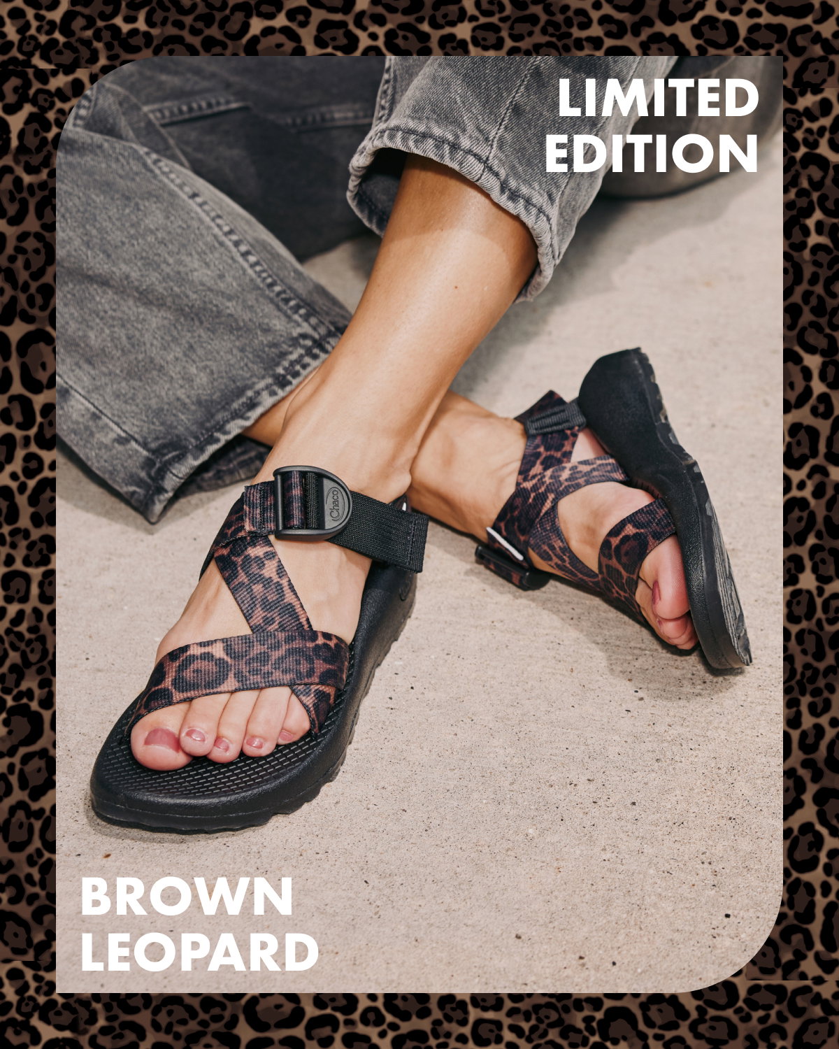 CHACOS. LIMITED EDITION. BROWN LEOPARD.
