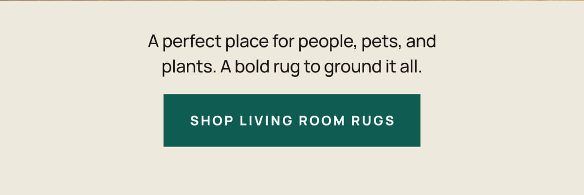 Shop Living Room Rugs 