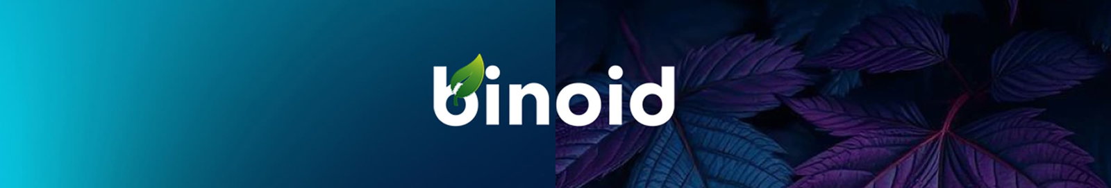 binoid