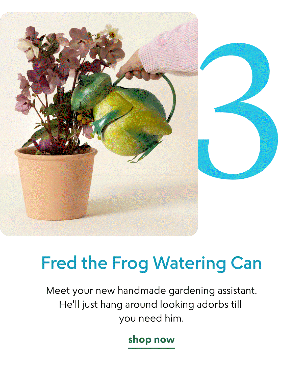 fred-the-frog-watering-can