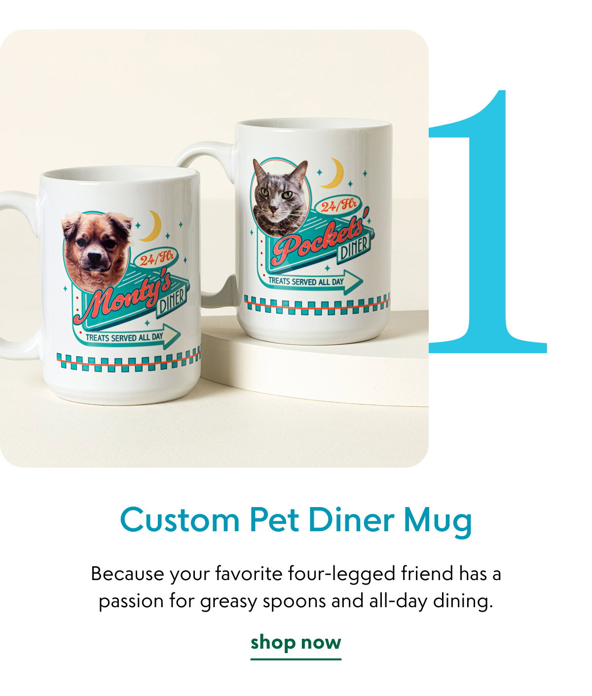 custom-pet-diner-mug