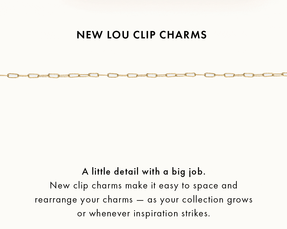 New Lou clip charms