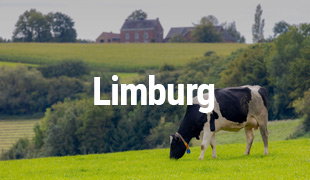 Limburg
