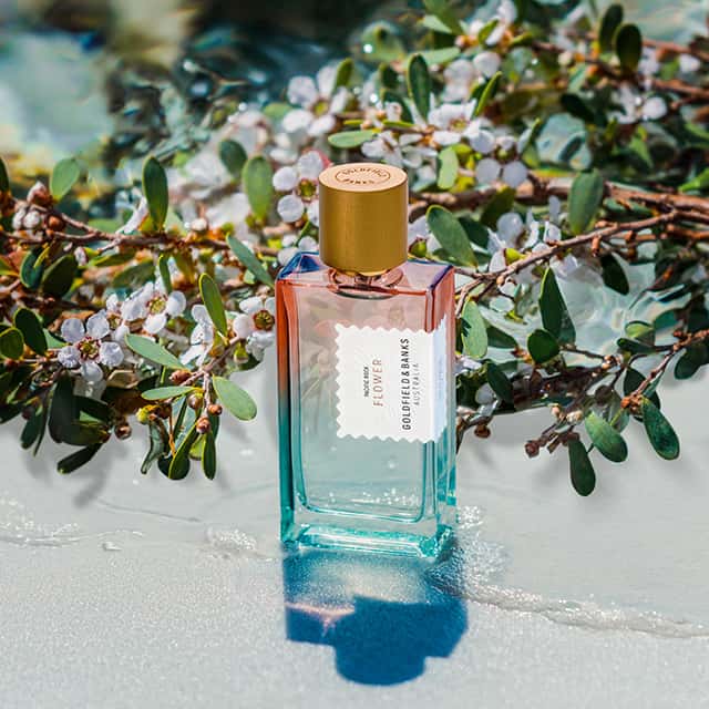 A perfume bottle with a golden cap sits on a reflective surface, surrounded by sprigs of delicate greenery and white flowers. The bottle features a label with elegant text, and sunlight creates a soft shadow and highlights the bottle's gradient hues.