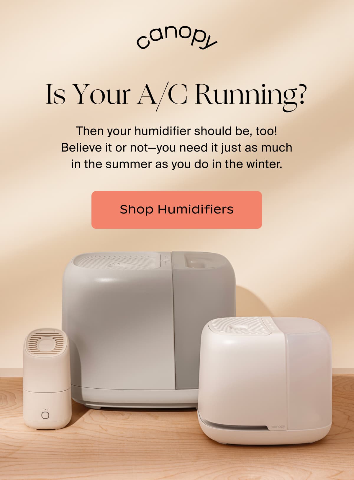 Canopy | Is Your A/C Running? Then your humidifier should be, too! Believe it or not—you need it just as much in the summer as you do in the winter. | SHOP HUMIDIFIERS