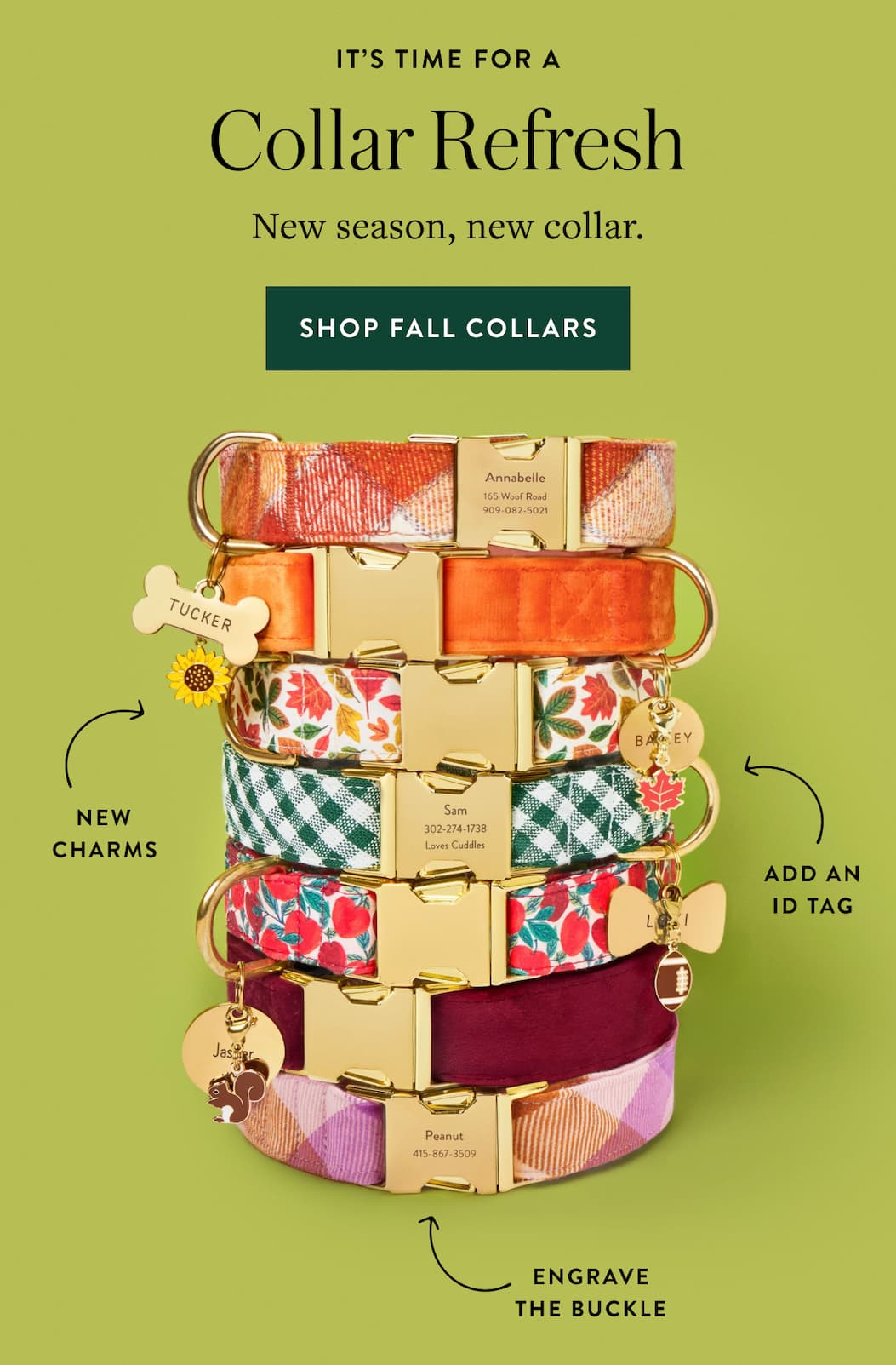 Shop Collars + Charms