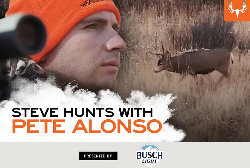 pete alonso