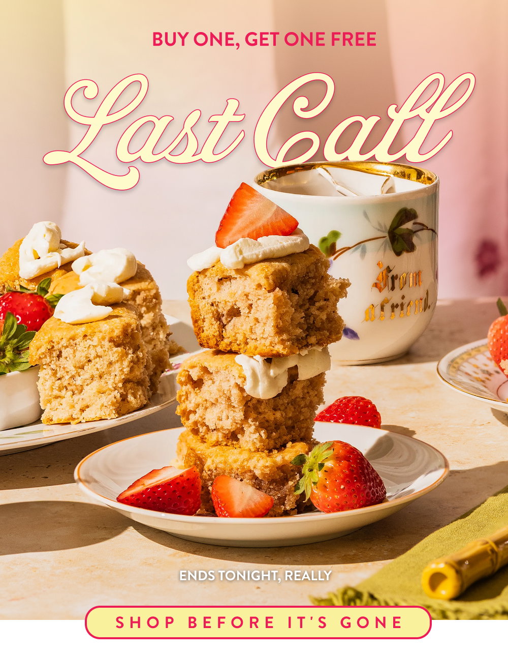 Buy One, Get One Free. Last Call