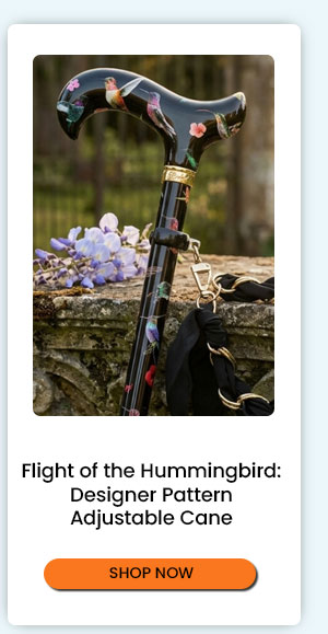 Flight of the Hummingbird