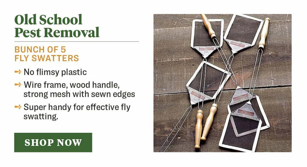 Bunch of 5 Fly Swatters