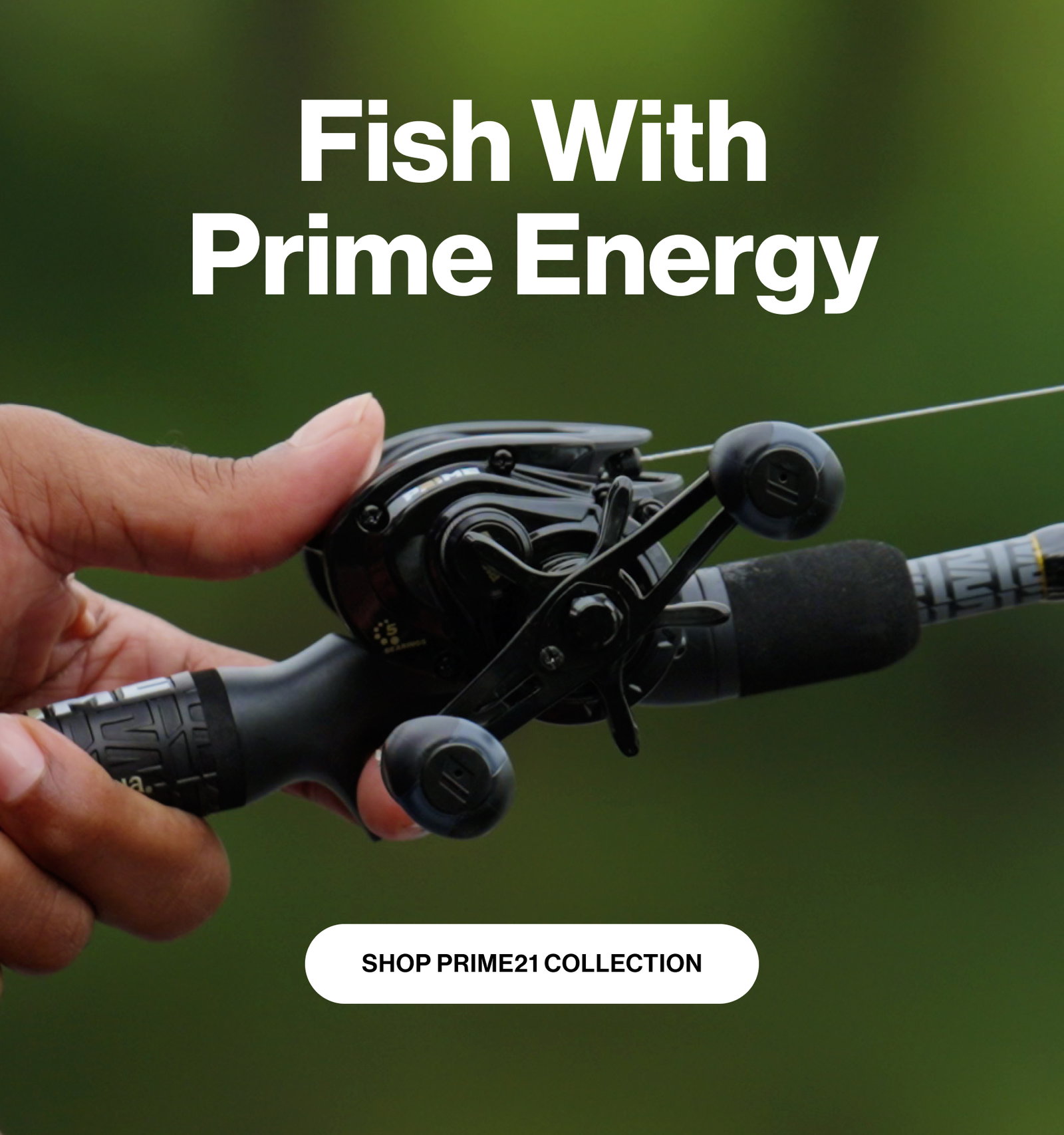 Prime21 Collection