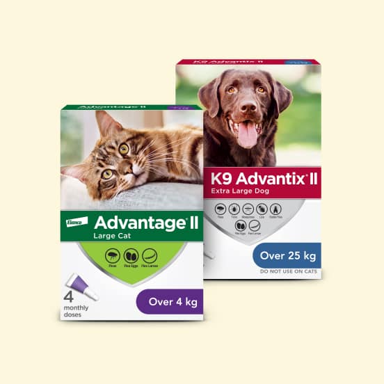 K9 Advantix II & Advantage II Flea & Tick product Image