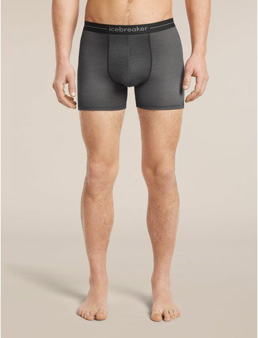 Men's Merino 150 Anatomica Boxers Transition - Obsidian/Proto Grey / S