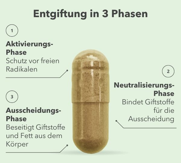 Der clevere 3-Phasen-Detox