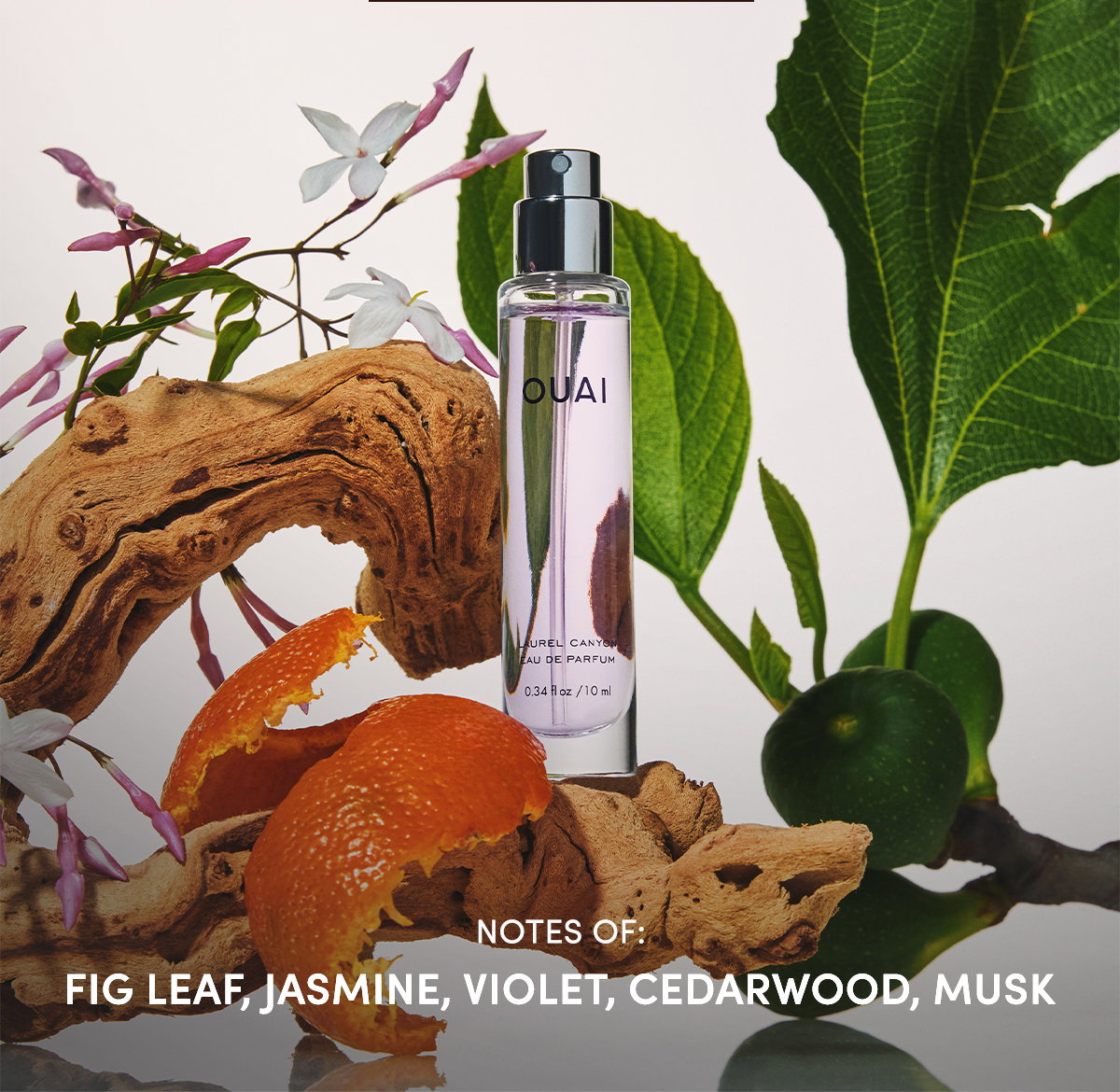 Notes of: Fig leaf, Jasmine. Violet, Cedarwood, Musk