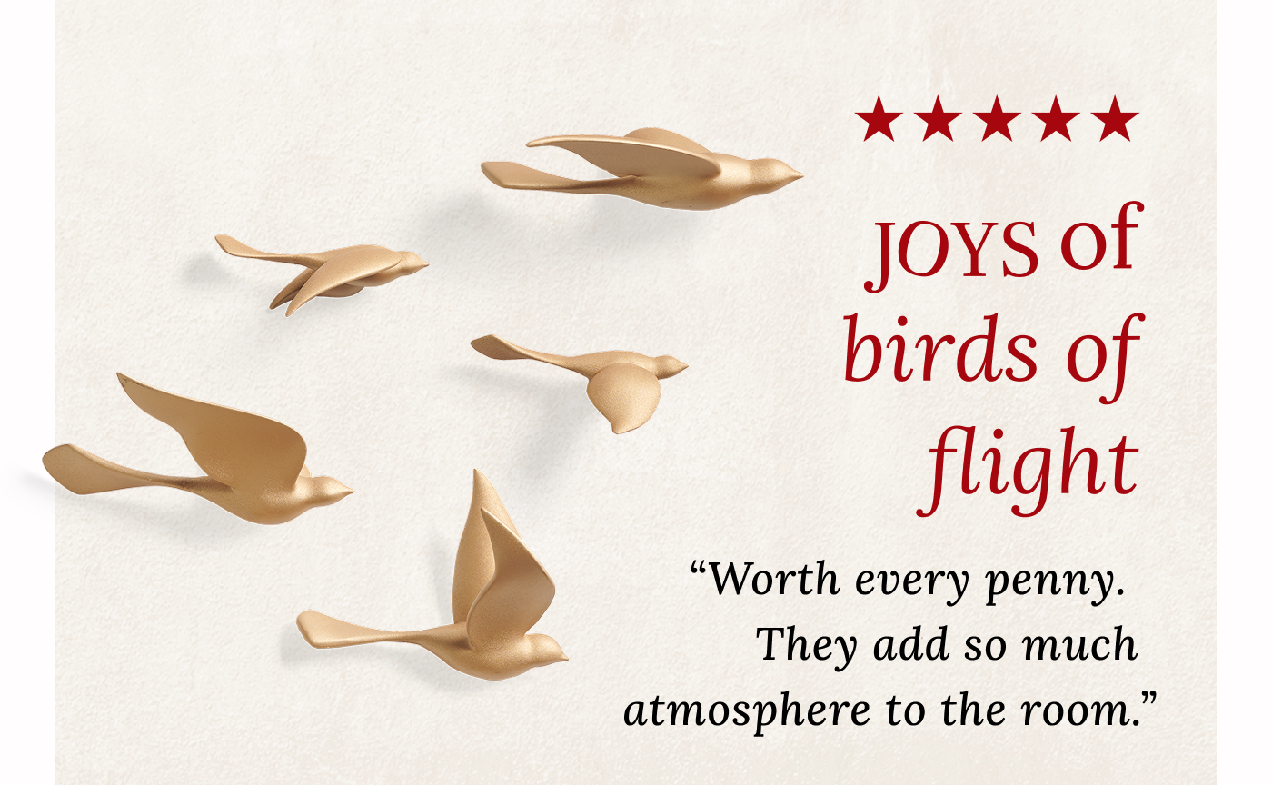 Shop Birds of Flight wall decor