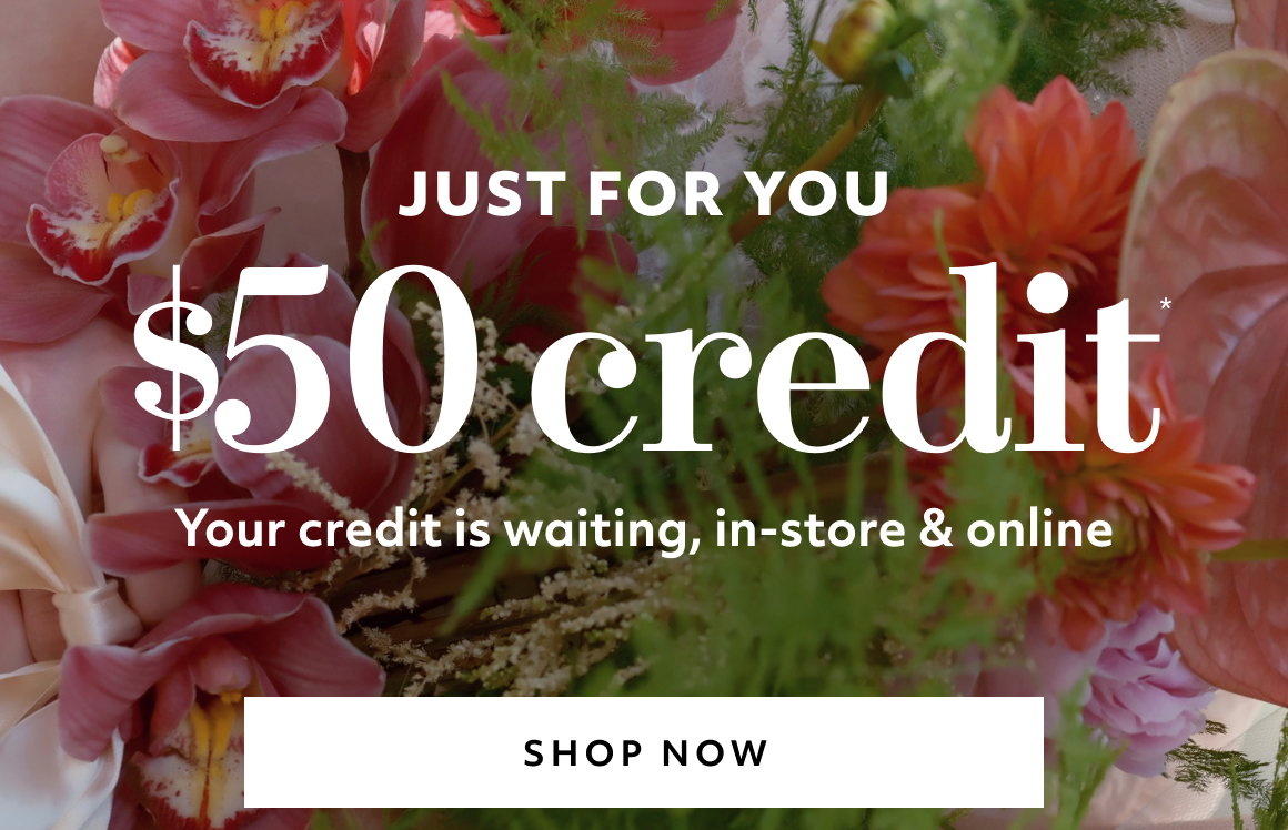 JUST FOR YOU - Your credit is waiting - SHOP NOW