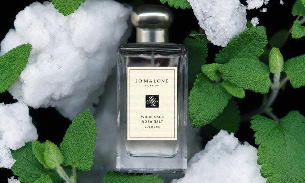 Wood Sage & Sea Salt