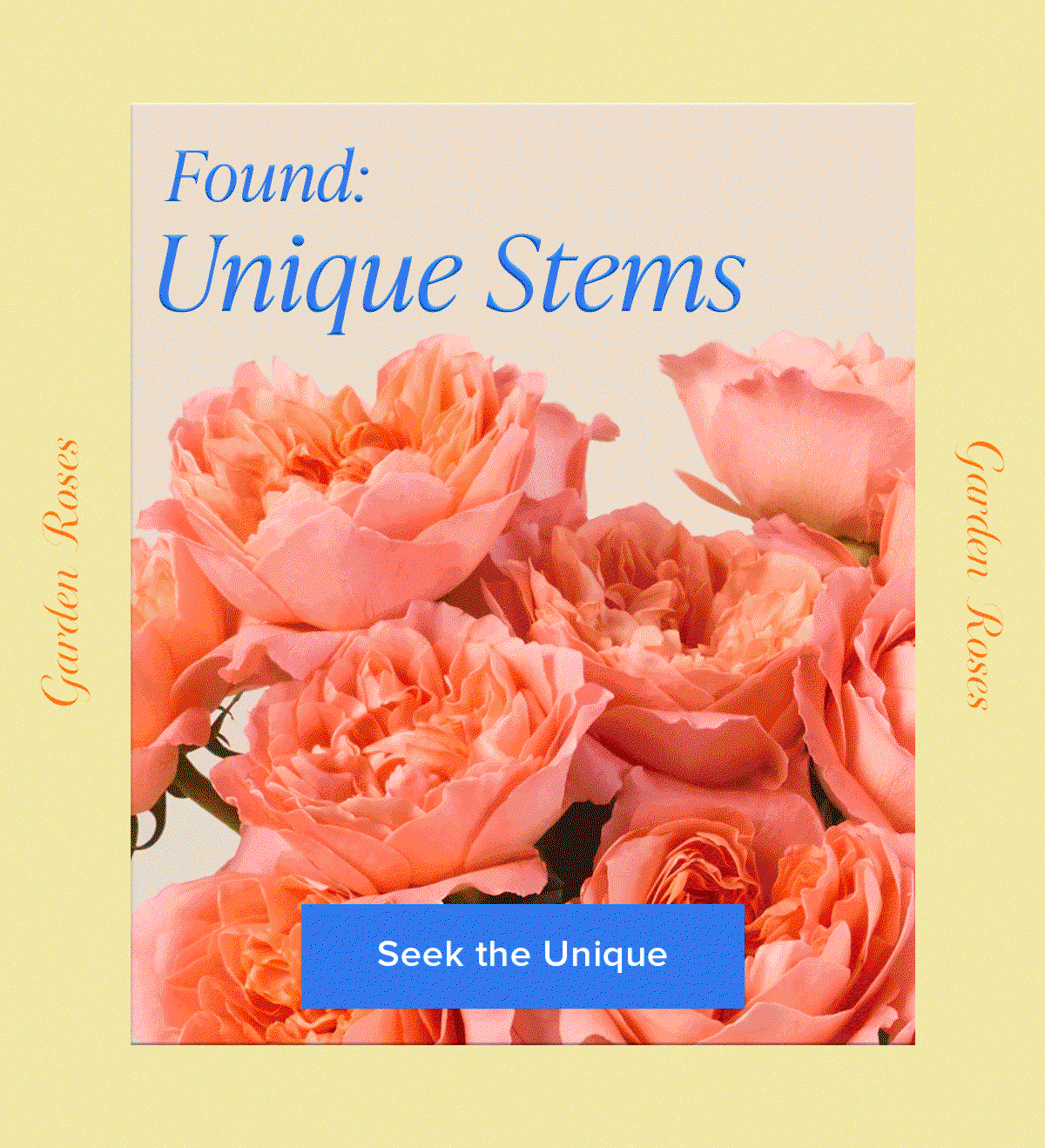 Found: Unique Stems (peonies, anemones, ranunculus, and more) . Seek the Unique