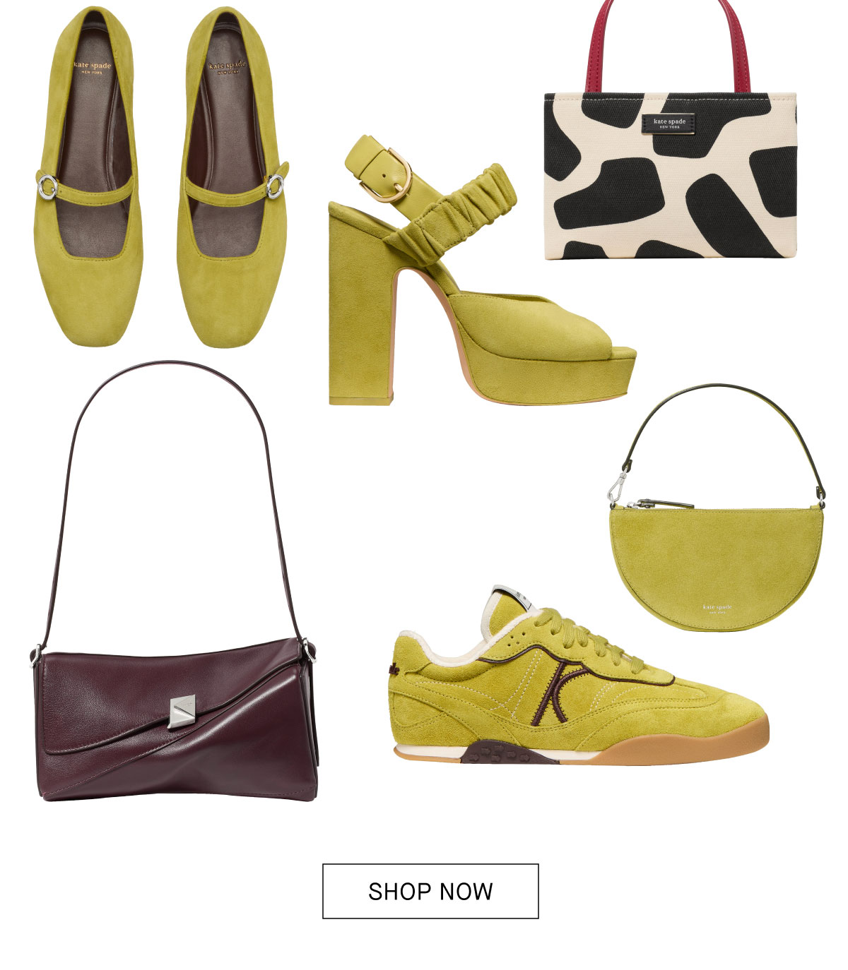 SHOP NOW