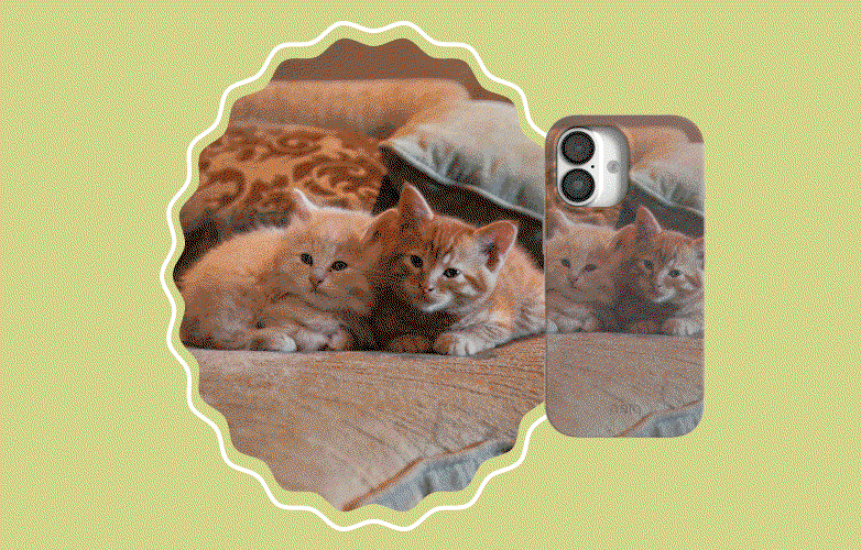 Cat gif