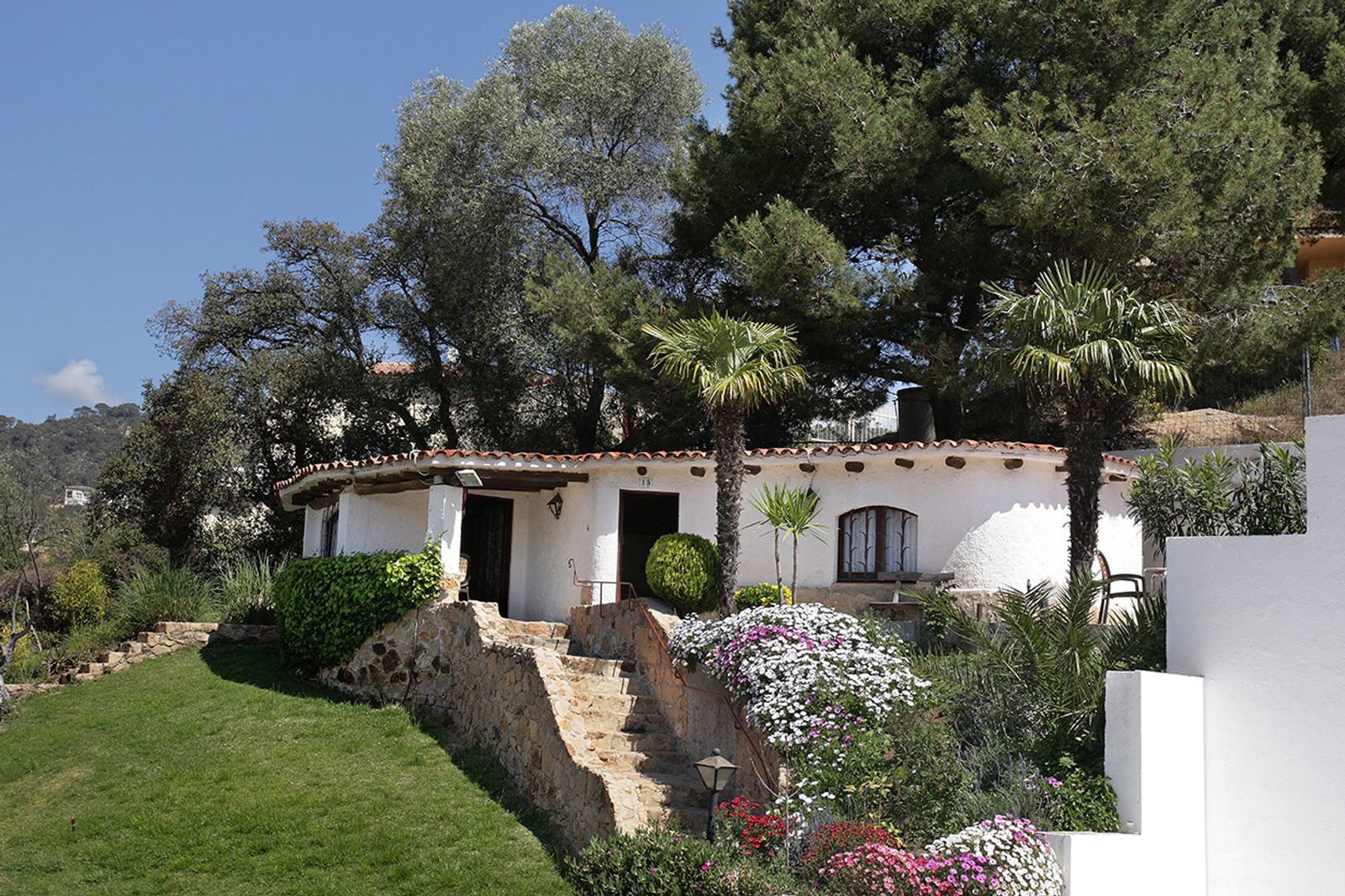 White Mediterranean cottage with terracotta roof, stone steps through colourful flower beds and palm trees on a sunny slope