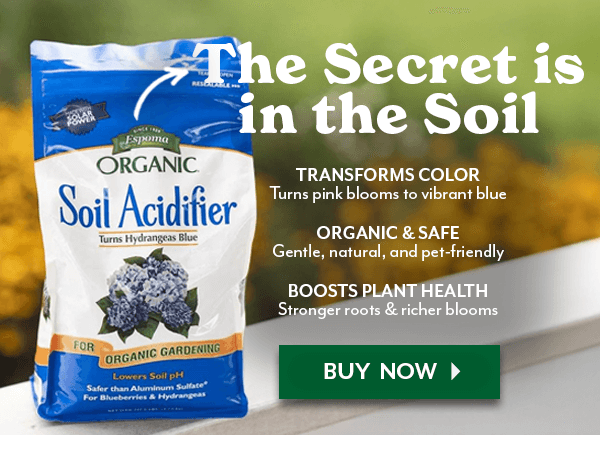 The Secret is in the Soil