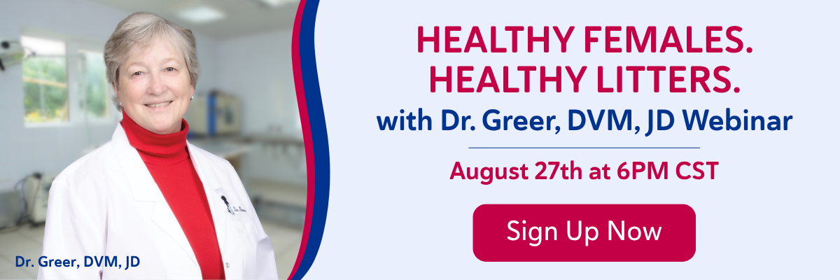 Sign Up Now