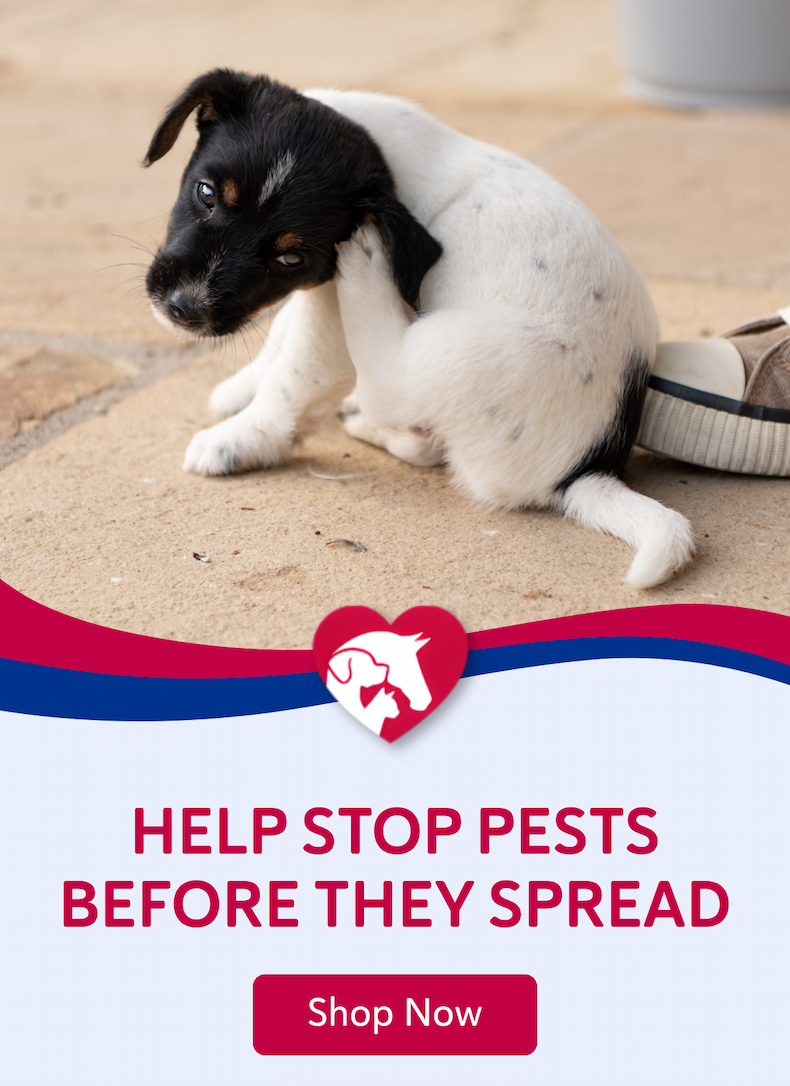 Help stop pests before they spread.