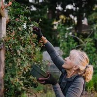 This May Matter More For Brain Health Than Any One Healthy Habit