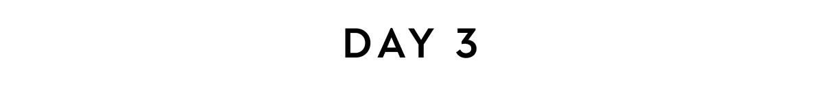 DAY 3