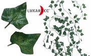 Image Article