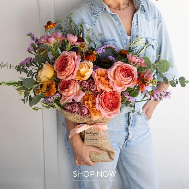 A burlap-wrapped bouquet of coral and mauve garden roses with eucalyptus and purple statice, held by someone in a denim shirt and jeans.