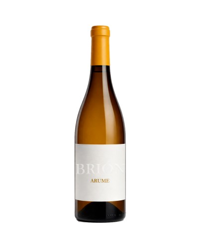 Brion Arume Treixadura 2024