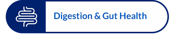 Digestion & Gut Health