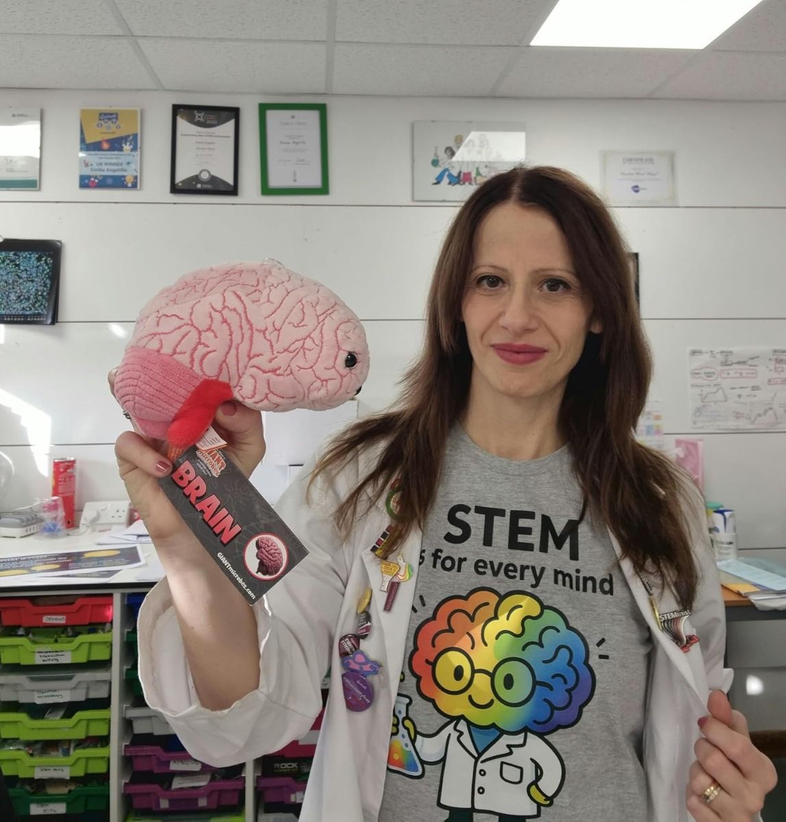 Brain plush and STEM