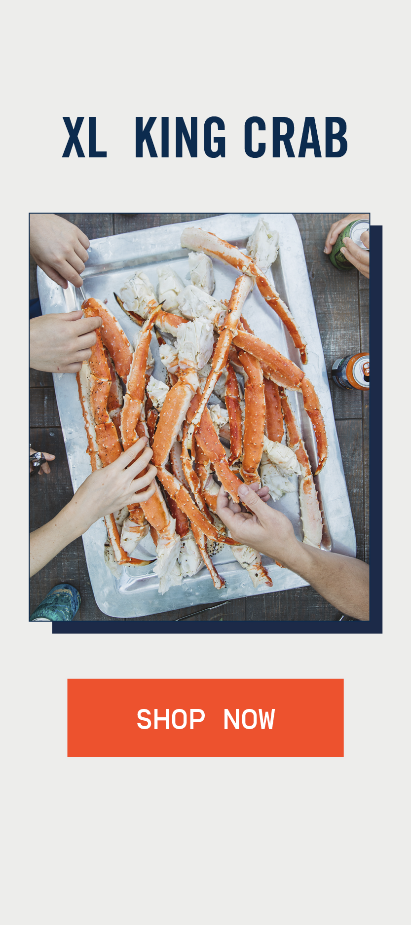 Shop XL King Crab