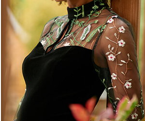 High Neck Velvet Top With Embroidered Mesh Sleeves