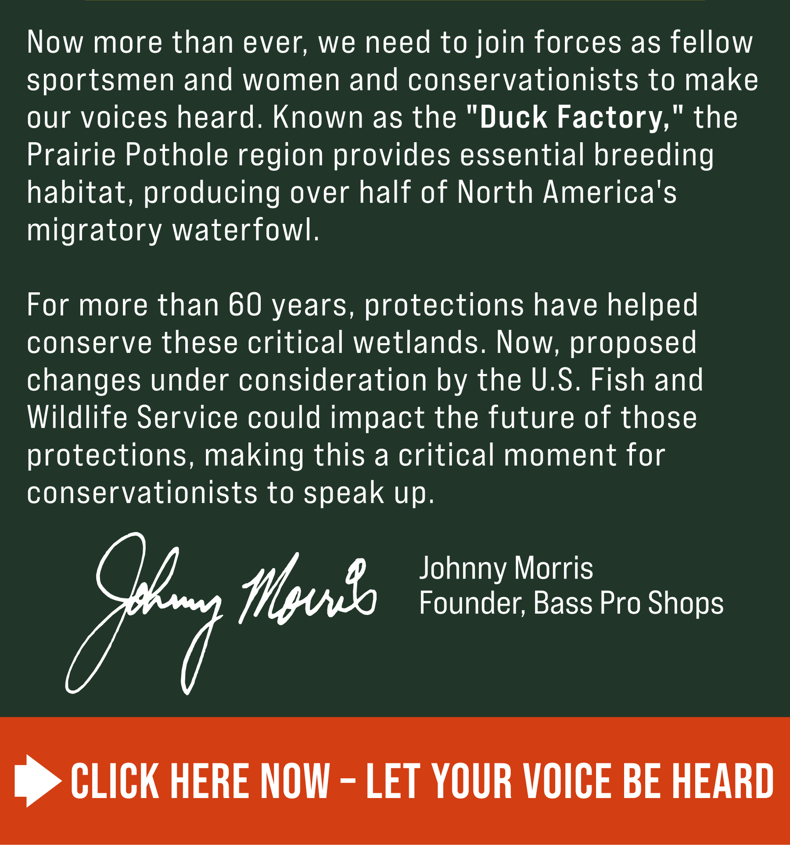 Help Protect the Future of Waterfowl
