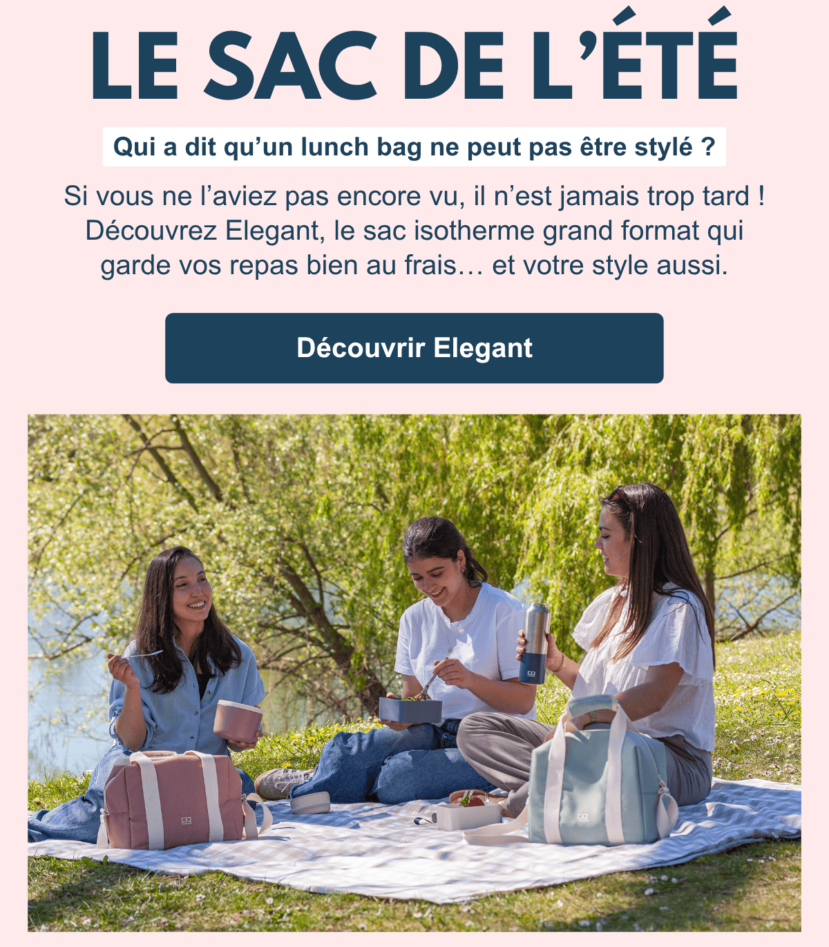 Header NL français lancement gamme pique-nique