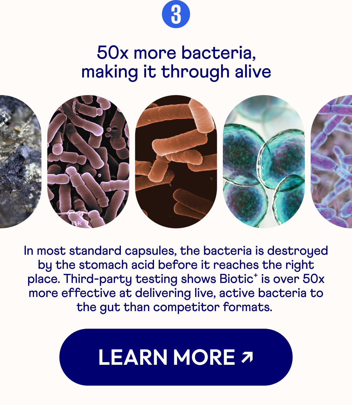 3 50x more bacteria, making it through alive