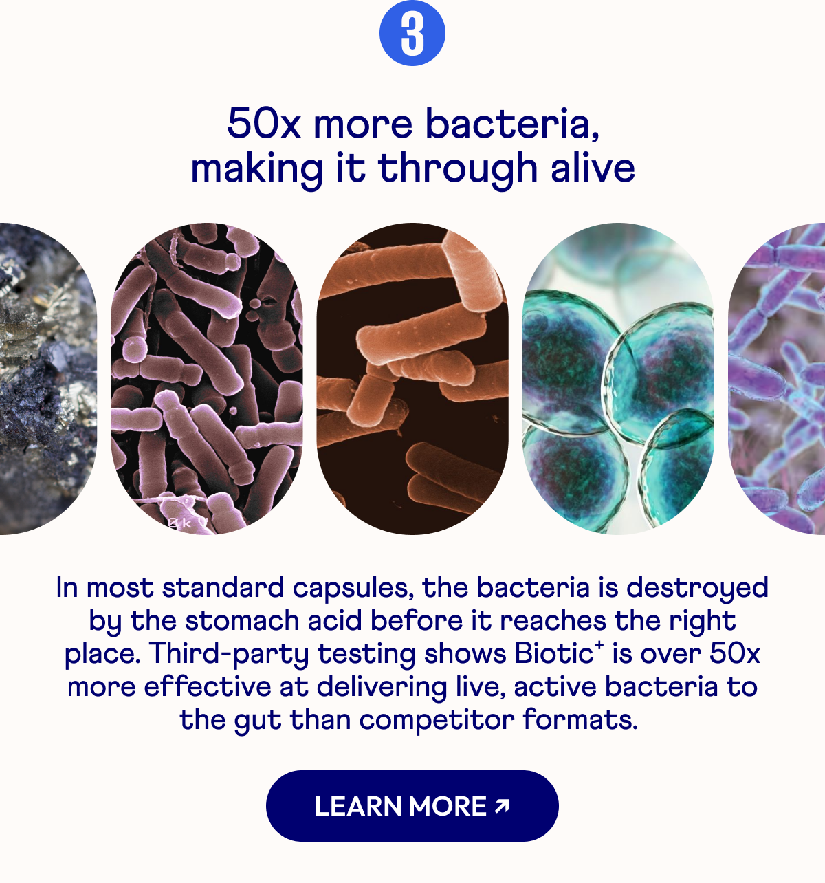 3 50x more bacteria, making it through alive
