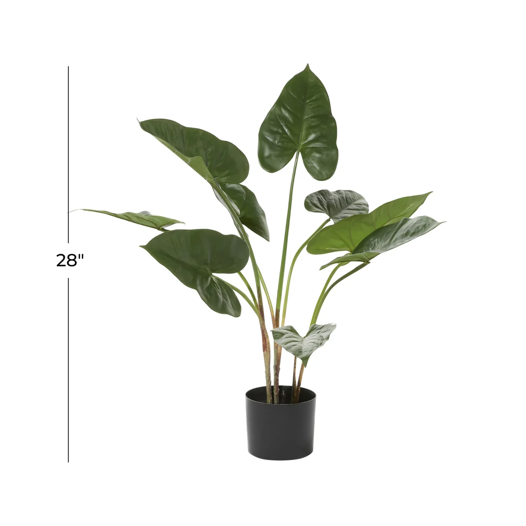 28" Anthurium Plant in Pot