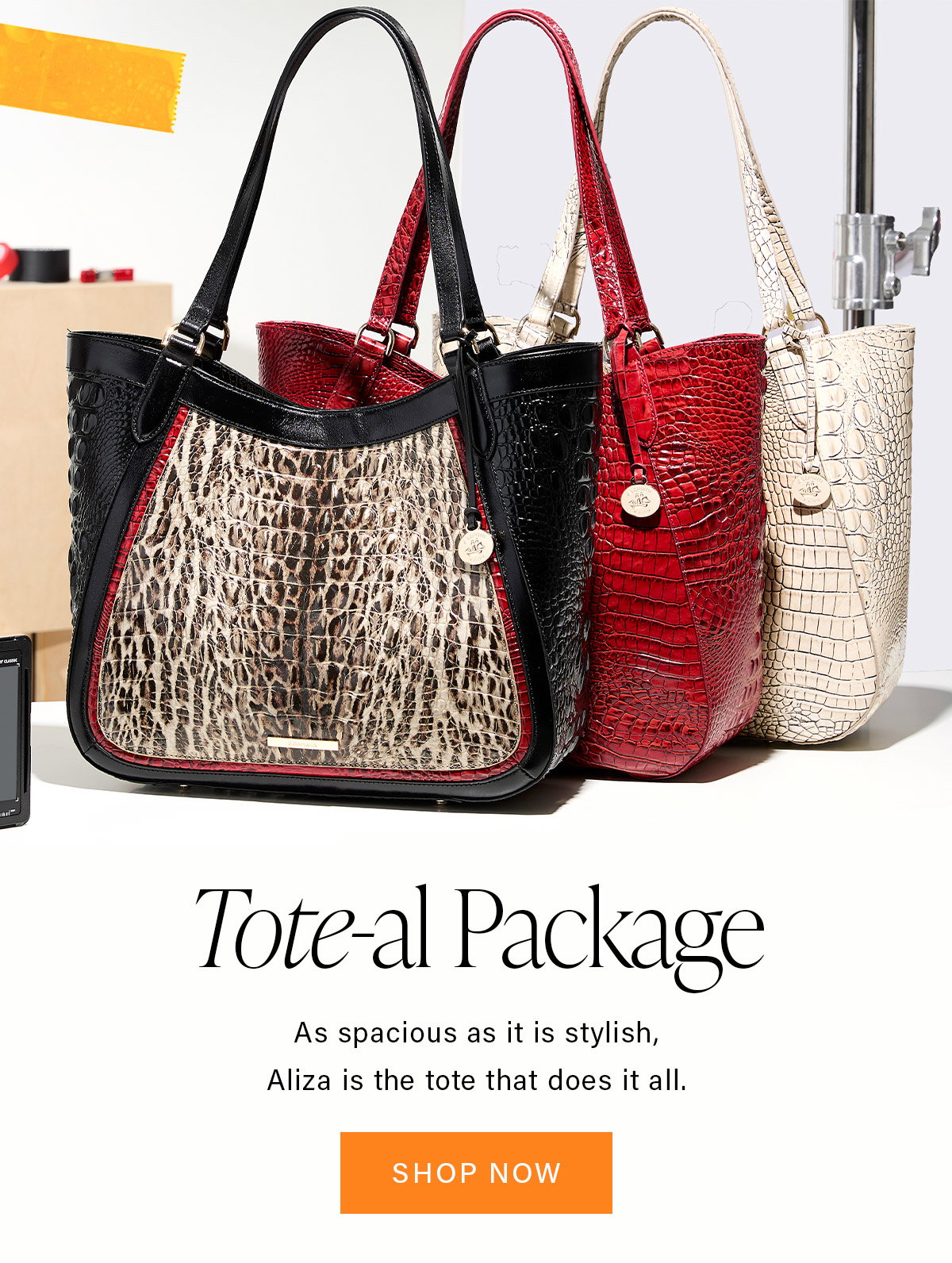 TOTE BAGS SHOP NOW